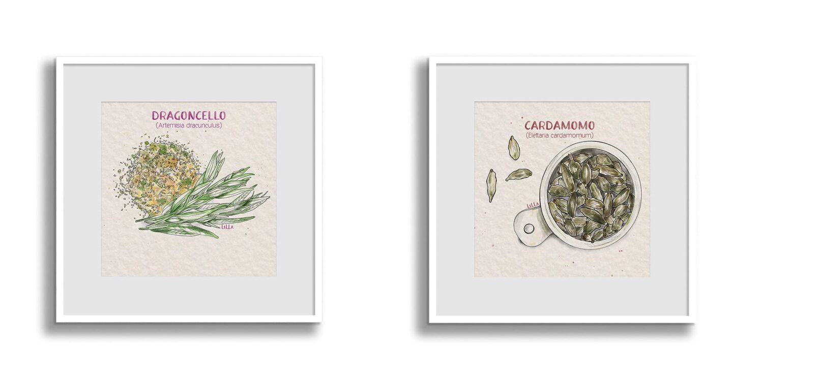 piante-aromatiche-alessia-vattani-designer