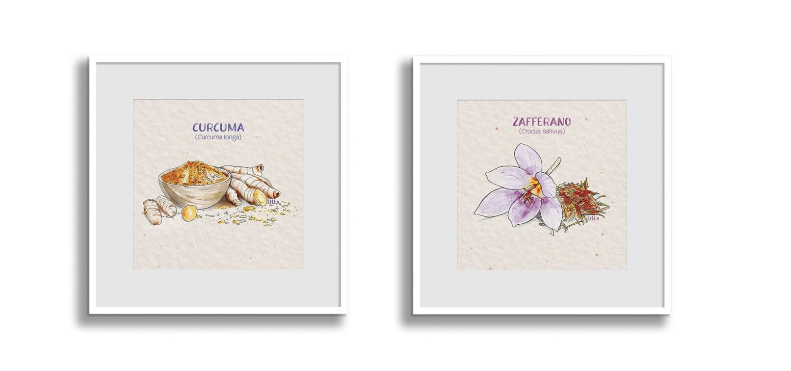 piante-aromatiche-alessia-vattani-designer