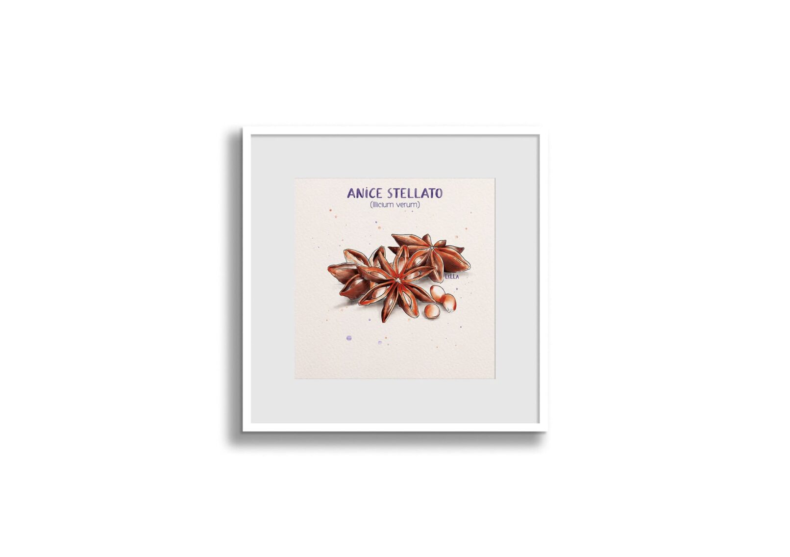 anice-stellato-watercolor