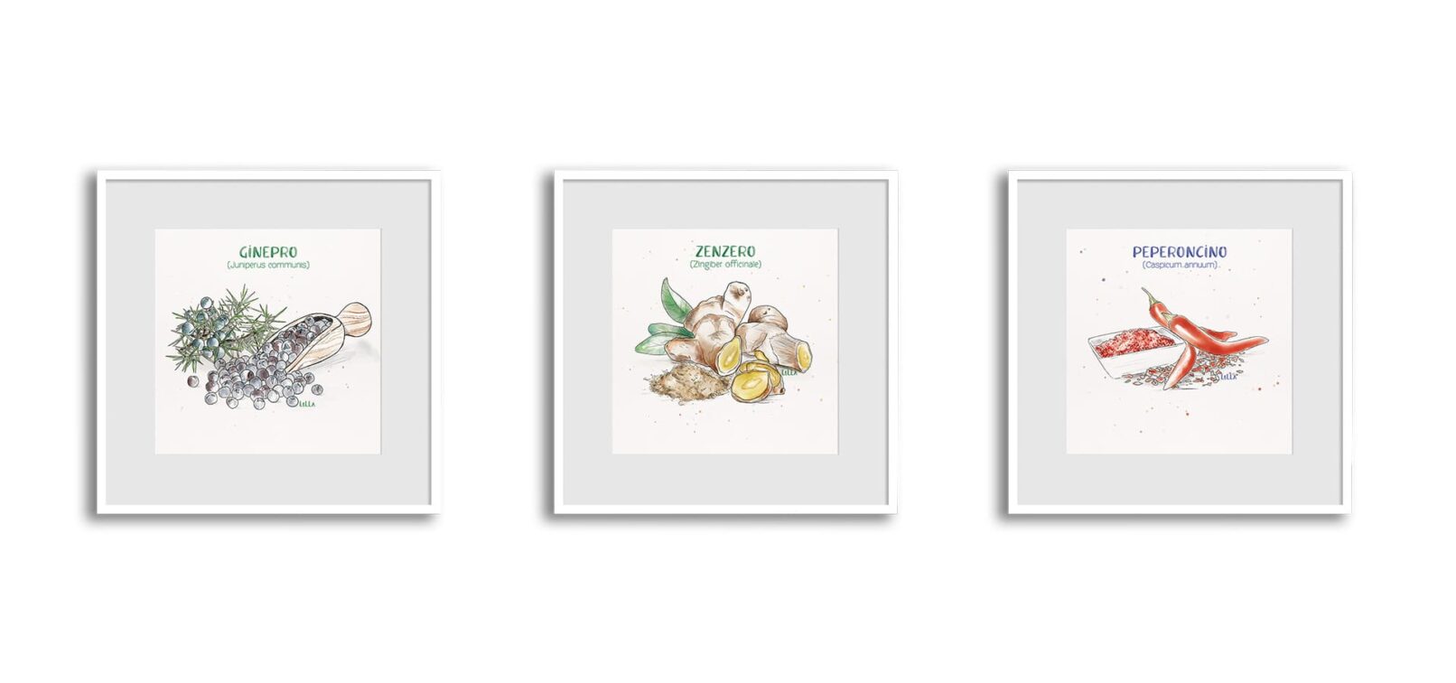 piante-aromatihe-alessia-vattani-designer